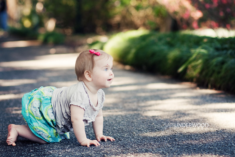 Orlando baby photograher
