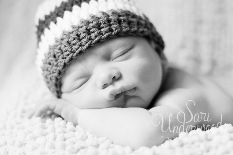 orlando newborn photographer