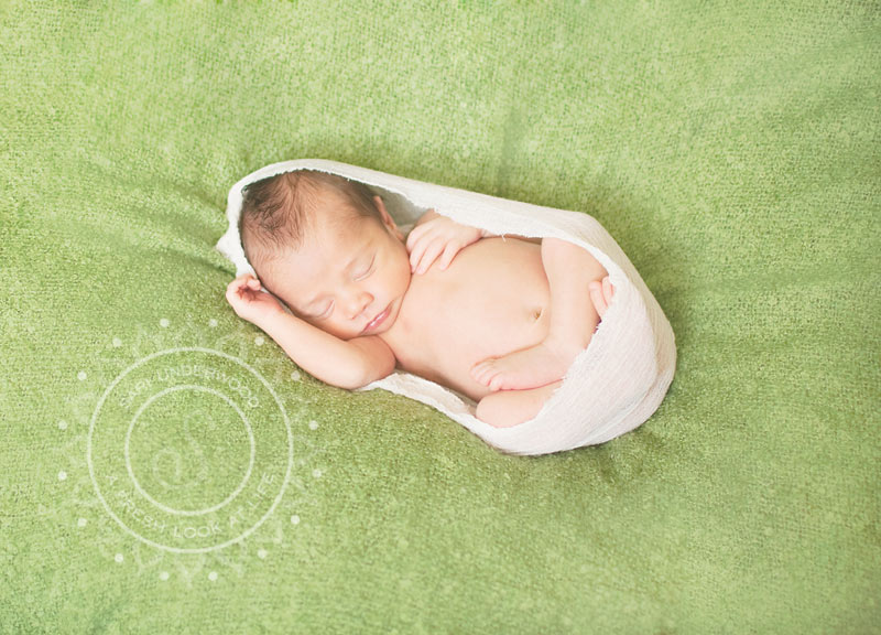 newborn photography orlando