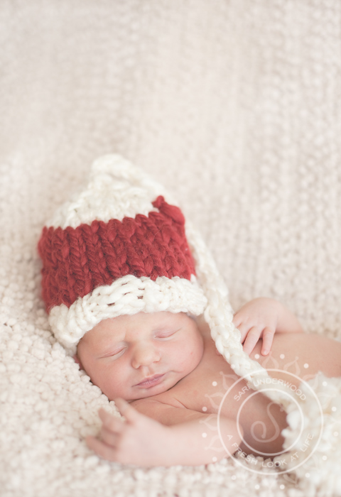 Orlando newborn photographer