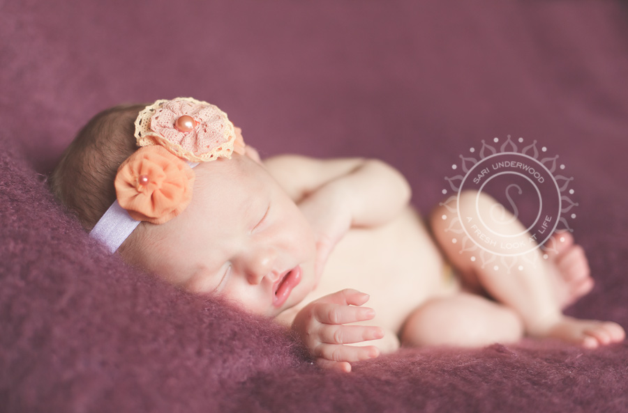 Windermere newborn photographer