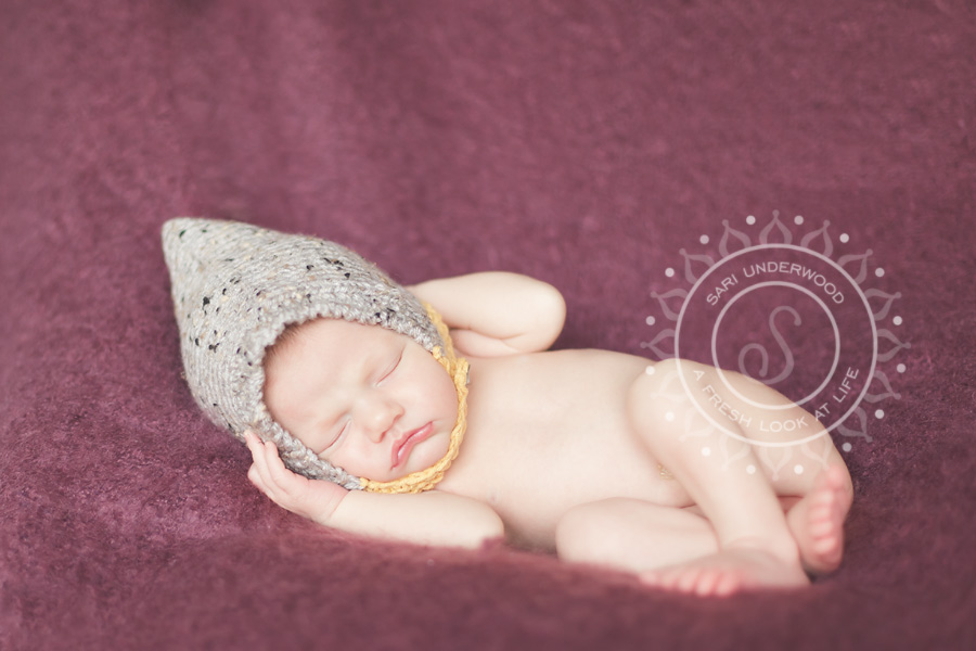 Winter Park newborn portraits