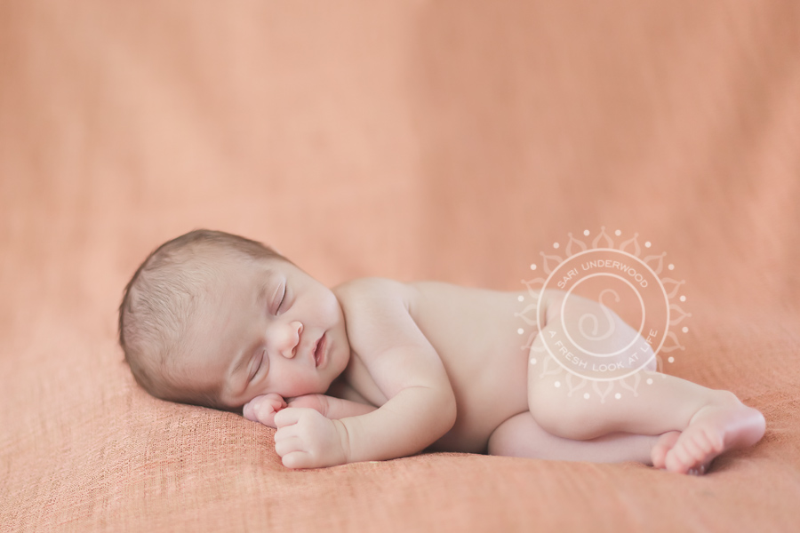 Altamonte Springs newborn photographer