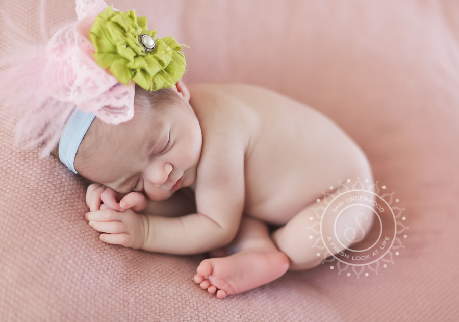 Central Florida newborn photographer