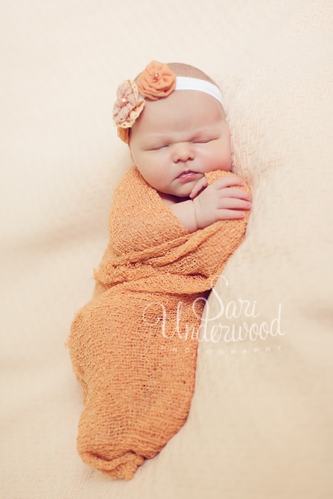 orlando newborn photographer