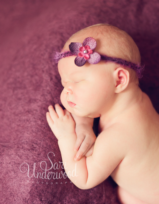 winter park newborn photographer