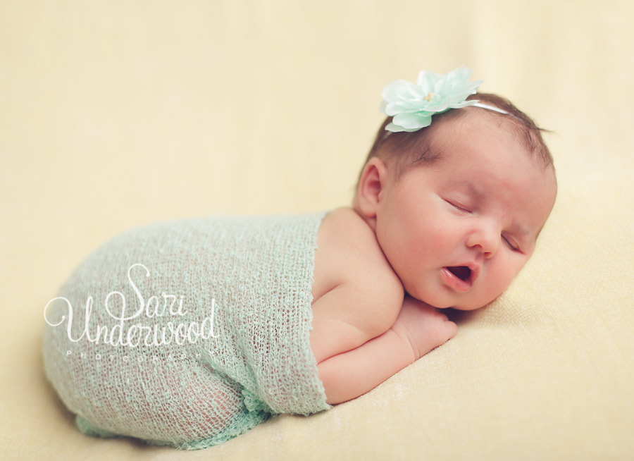 Winter Park newborn photographer