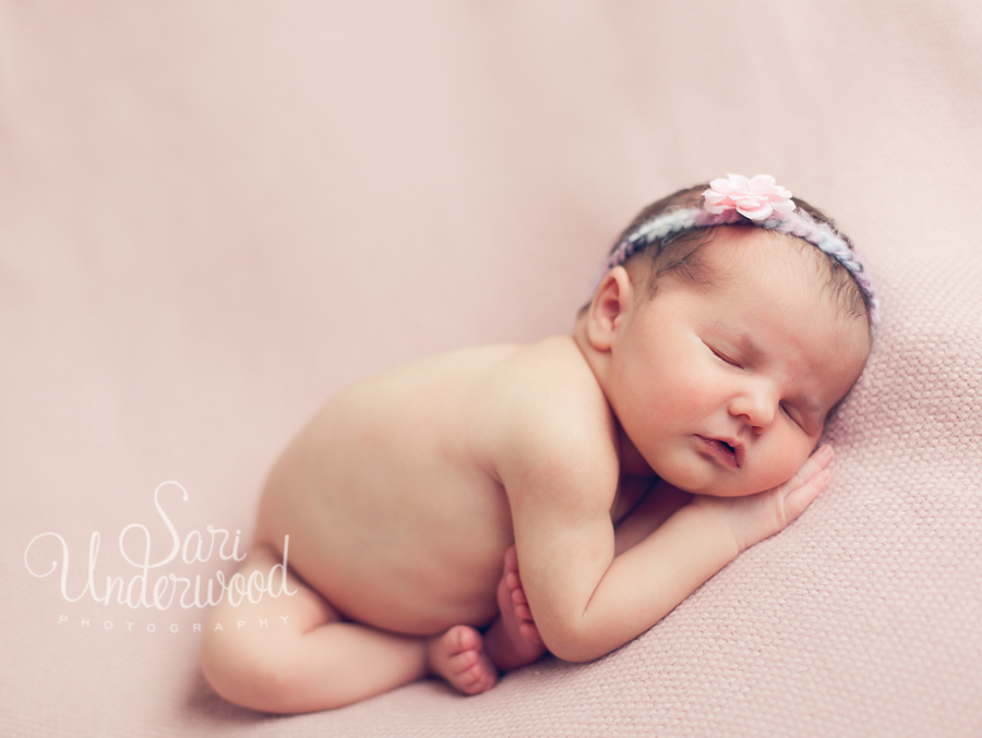 Titusville newborn photographer