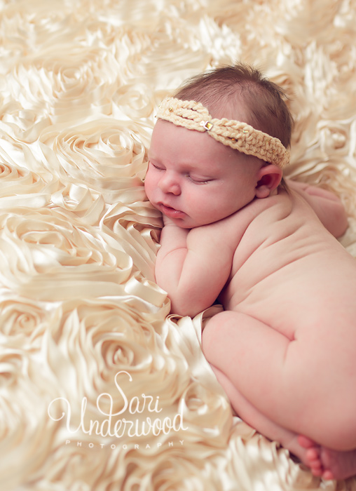 Orlando newborn portraits