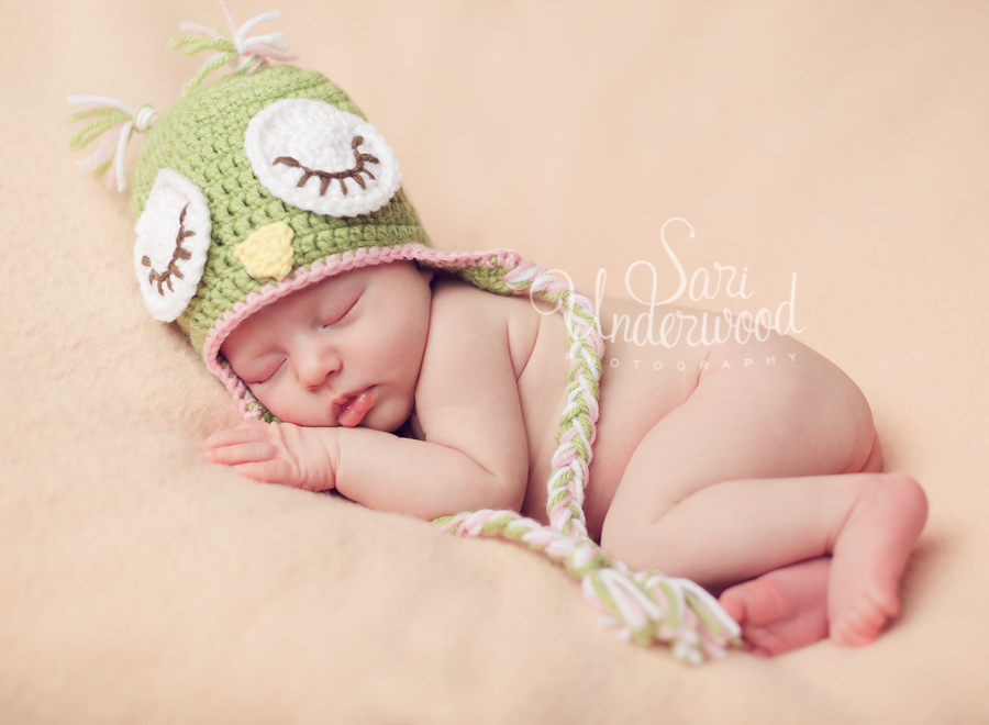 winter park newborn photographer