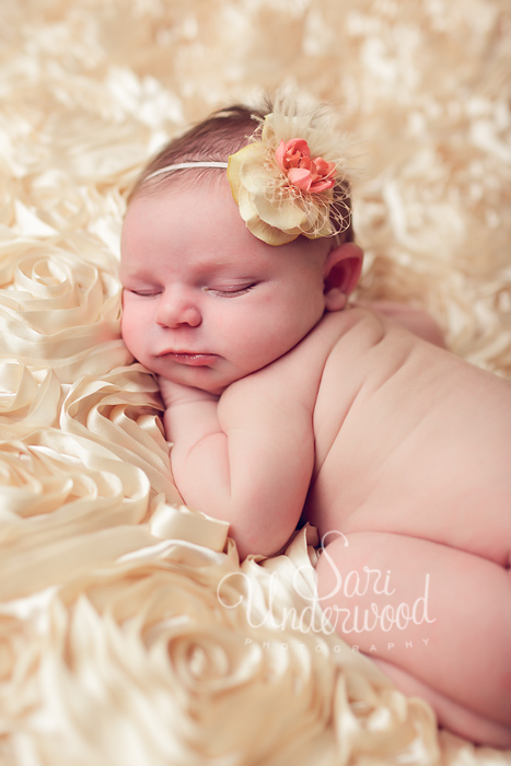 central florida newborn photographer