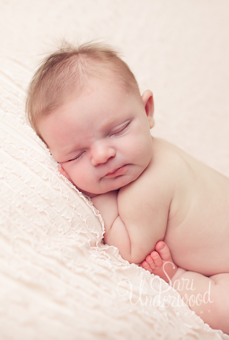 fine art newborn portraits