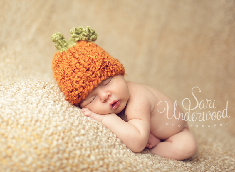 oviedo newborn photographer