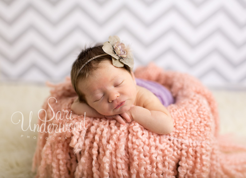 custom newborn portraiture orlando