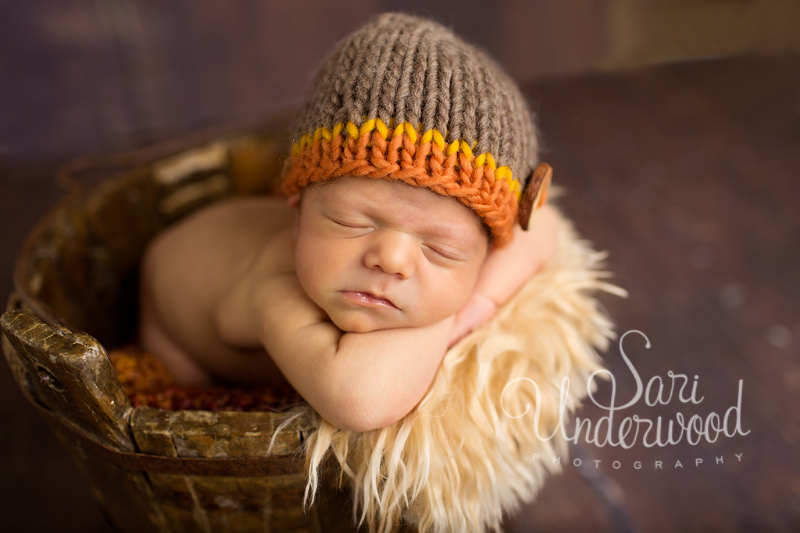 orlando premier newborn photographer