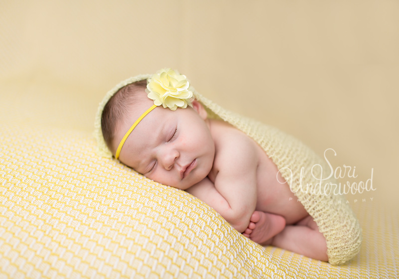 orlando infant portraits