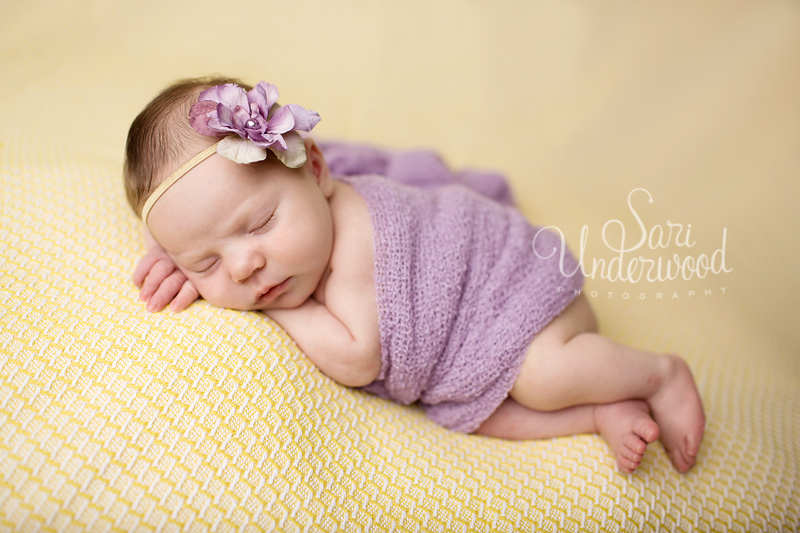 orlando premier newborn photographer