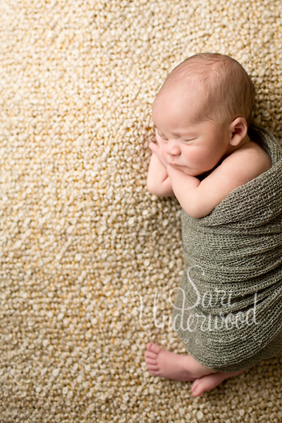 Kissimmee newborn photographer