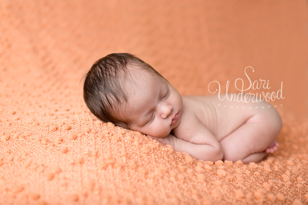 Orlando's newborn photographer - Sari Underwood Photography
