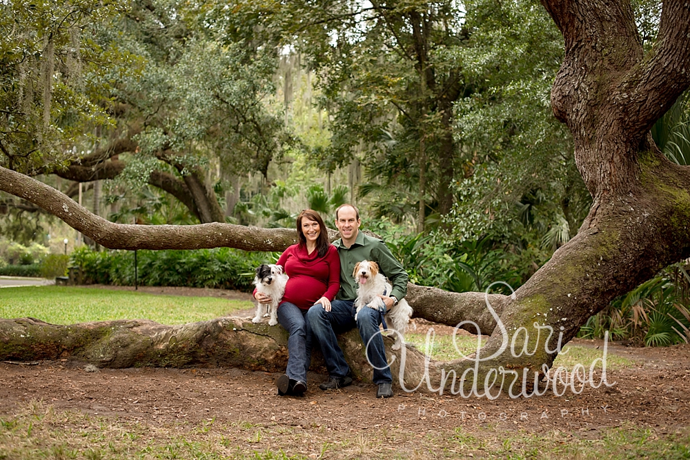 Orlando Florida maternity photography | Awaiting baby boy