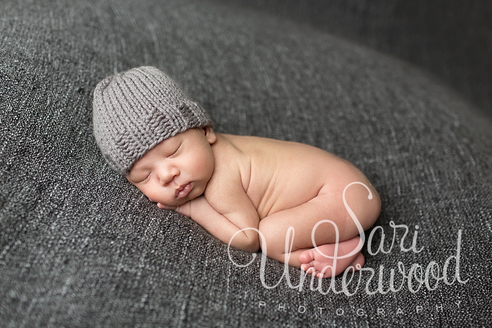 artful newborn portraits orlando