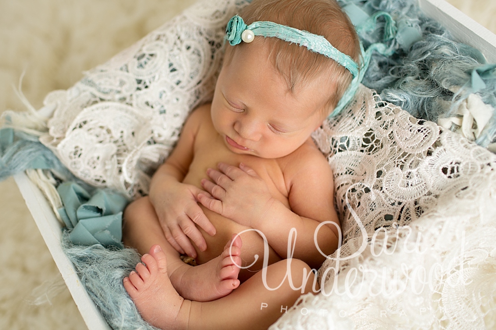 ake mary fl newborn photographer