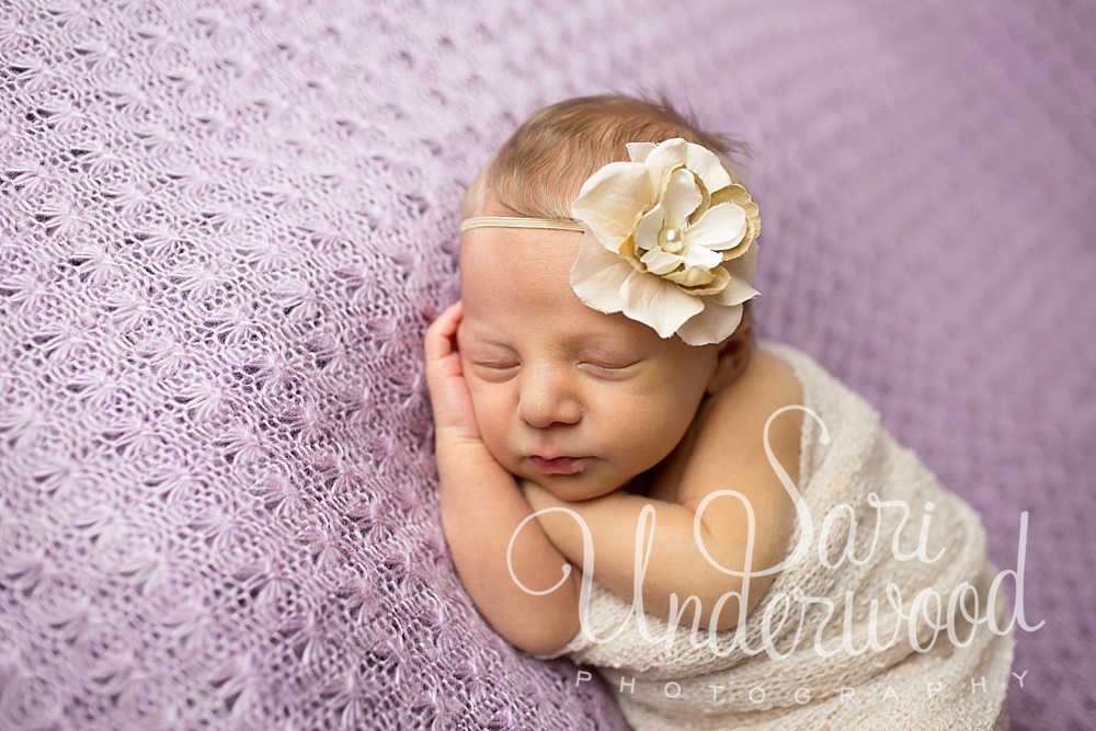 orlando newborn photography