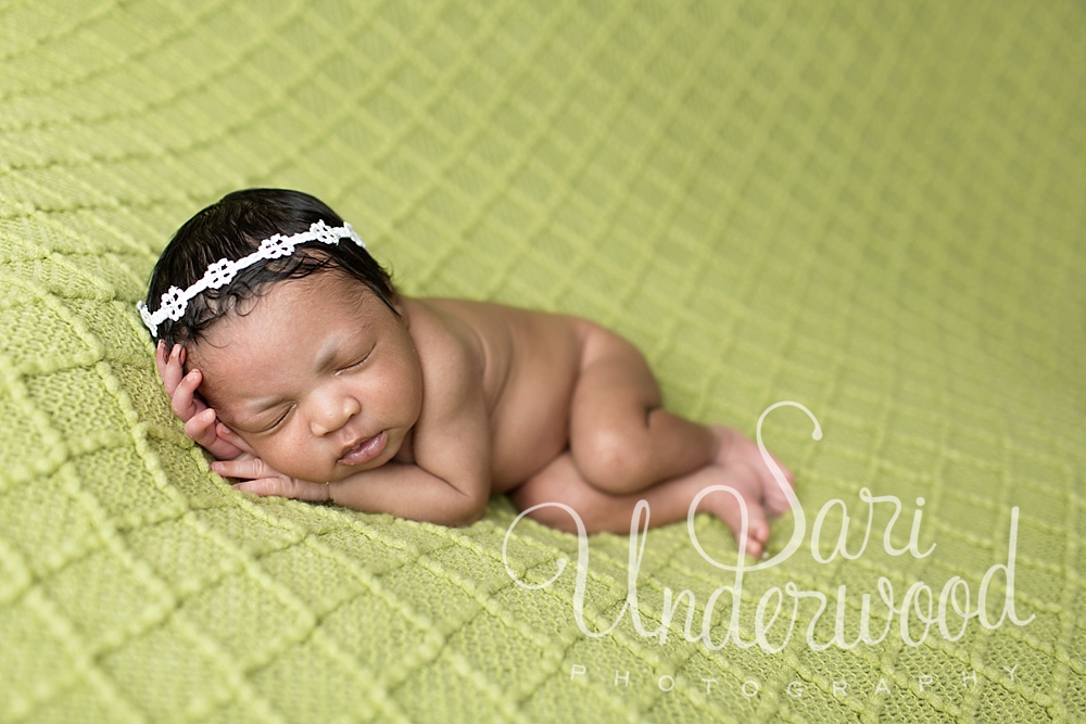 clermont newborn photography