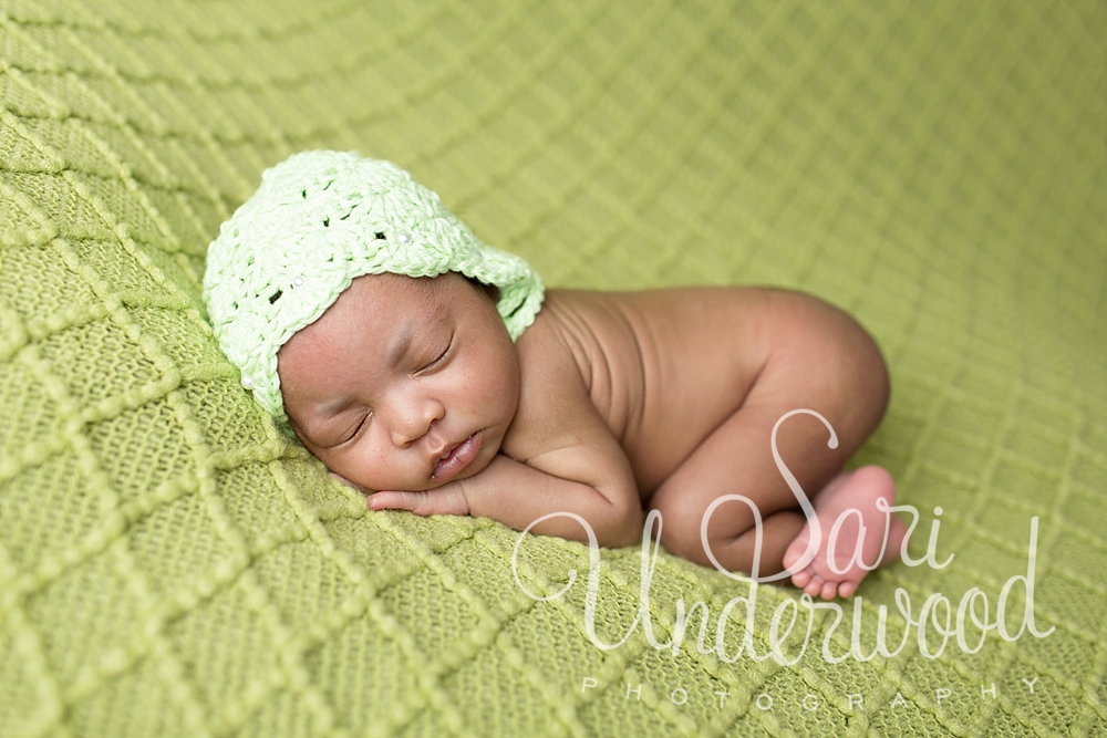 clermont newborn photographer