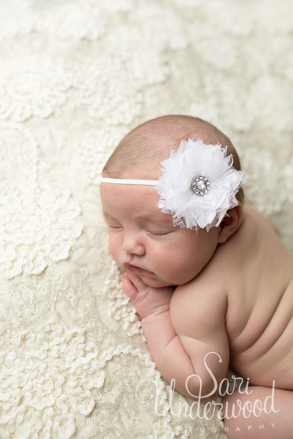 central florida newborn photographer