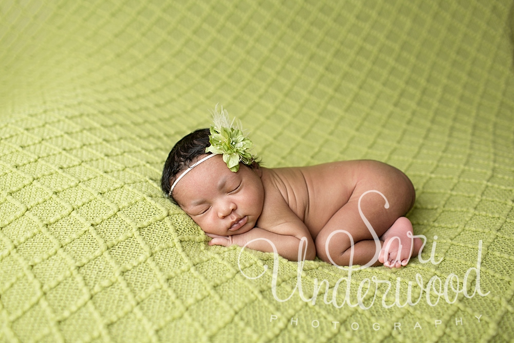 central florida newborn photographer