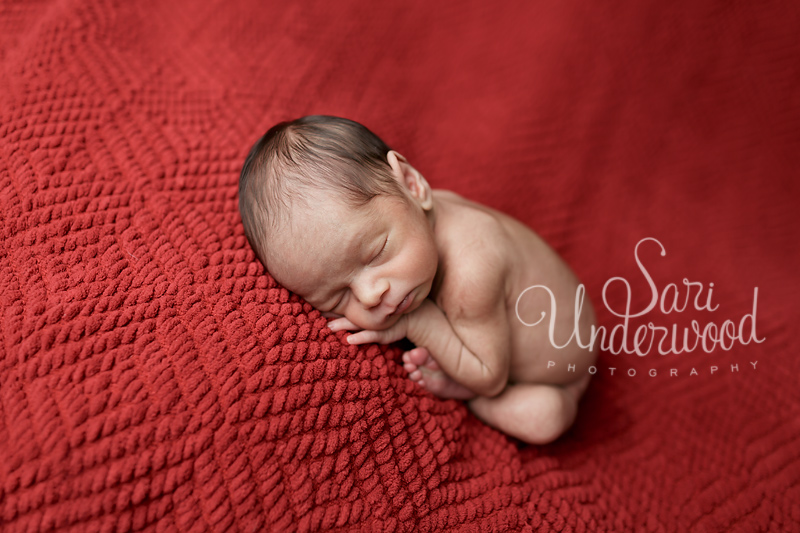 newborn photographer orlando