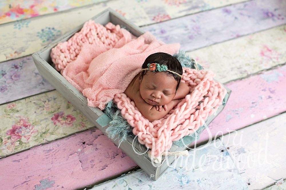 orlando newborn photograp