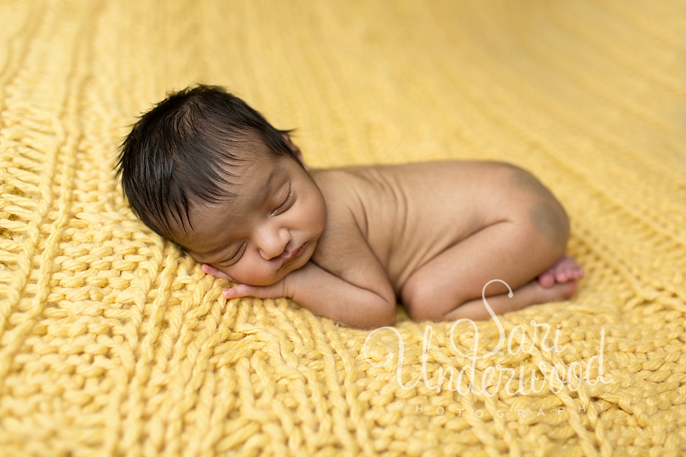 oviedo florida newborn photography