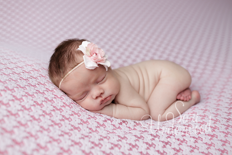 orlando-florida-newborn-photography