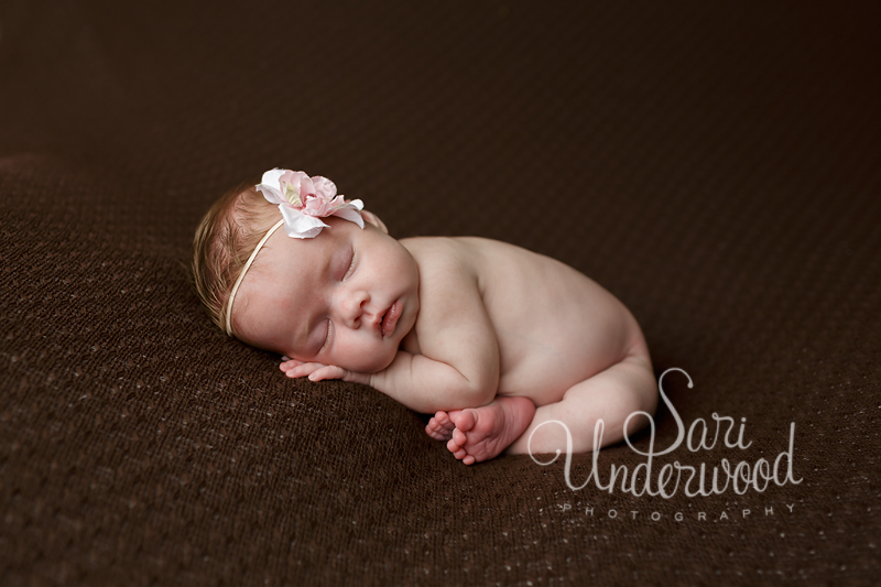 orlando-newborn-photos