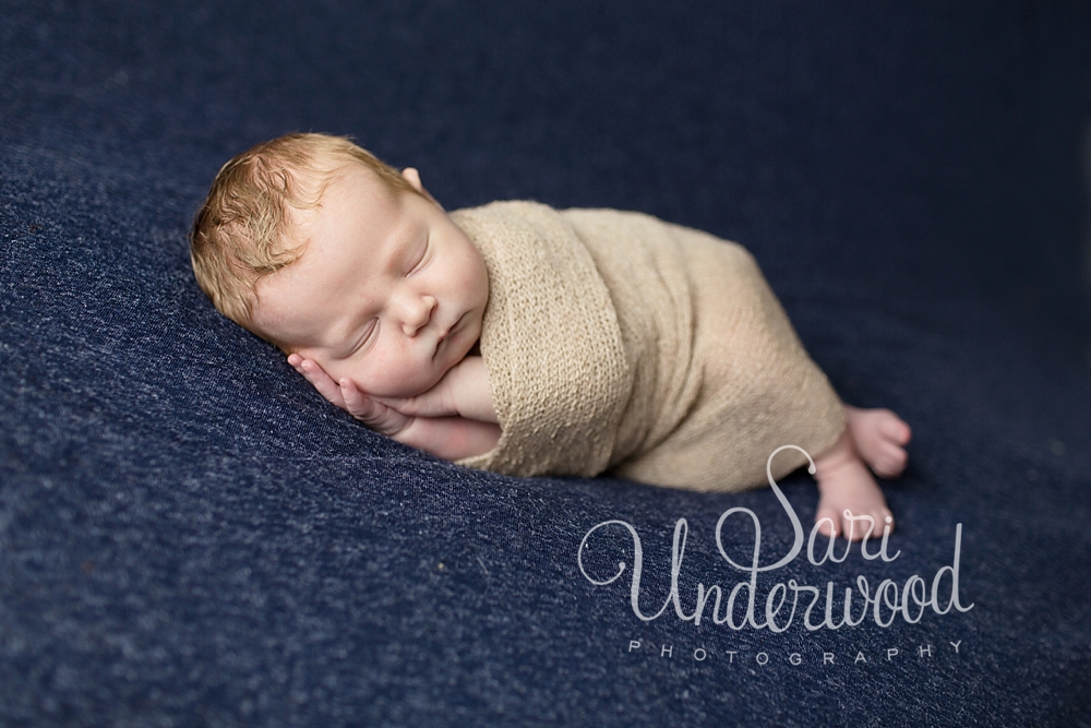 longwood newborn photographer