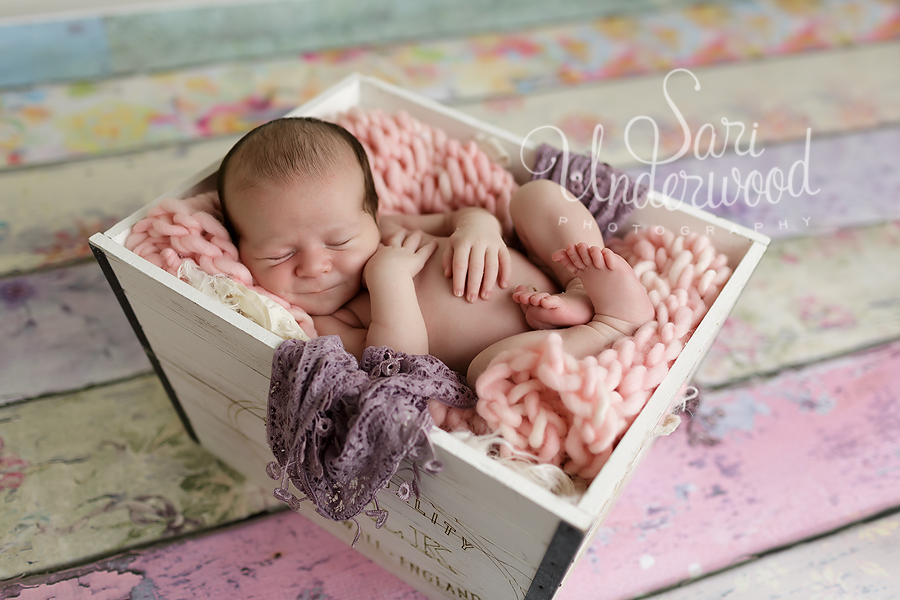 central florida newborn photography