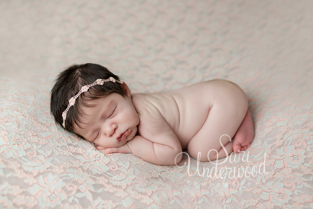 florida newborn photographer