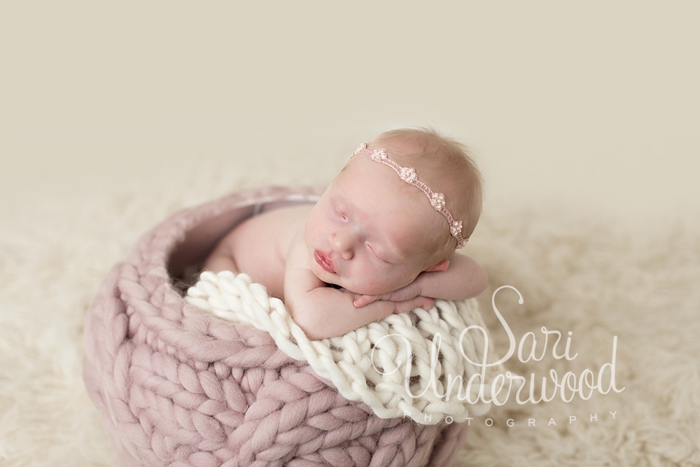 artistic newborn photos orlando