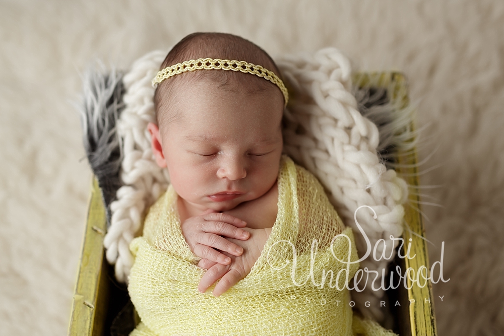 lake mary florida newborn photographer