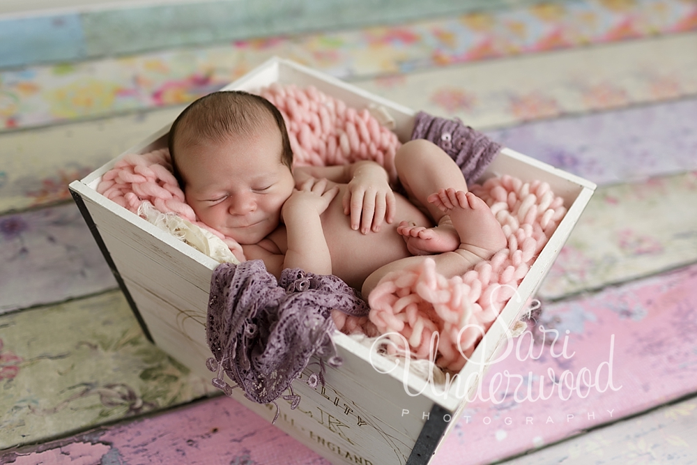 newbornphotography orlando fl