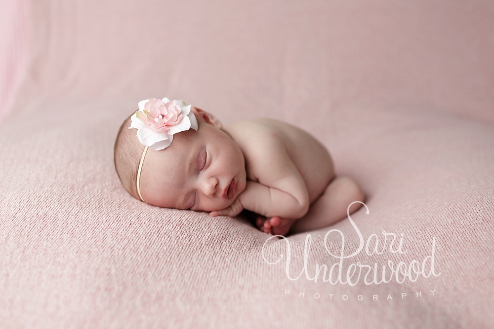 orlando newborn photographer