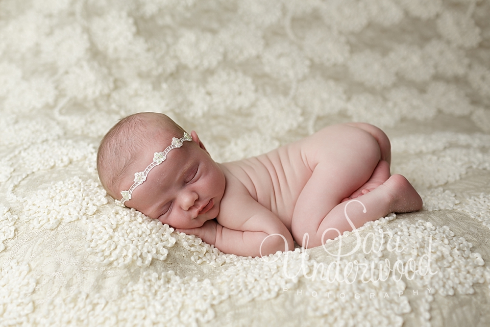 casselberry florida newborn photography