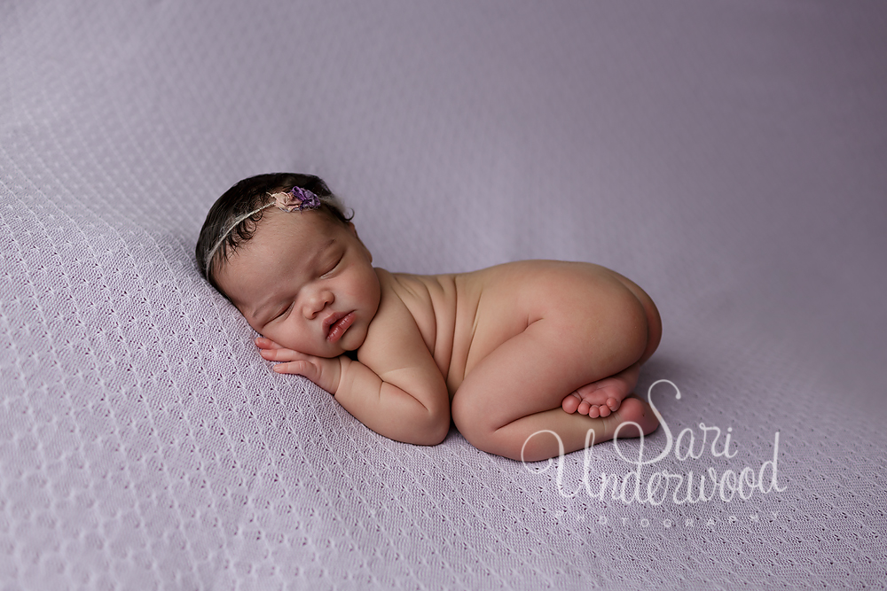 orlando posed newborn photography