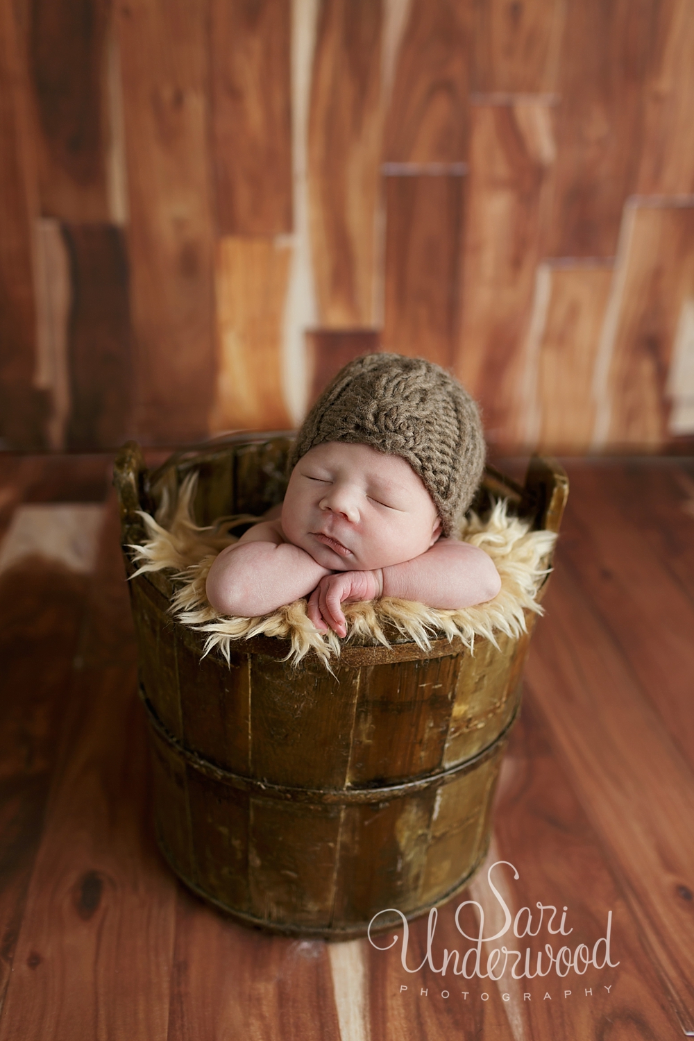 newborn pics orlando fl