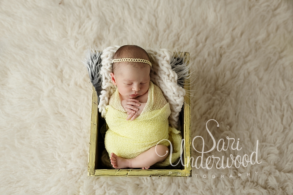 orlando newborn photography