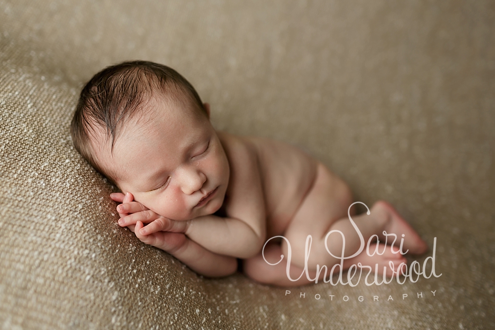 winter park newborn photographer