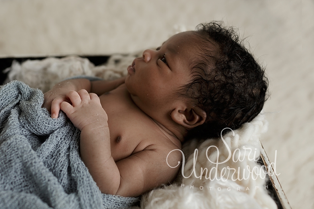 Williamson-newborn-034_WEB