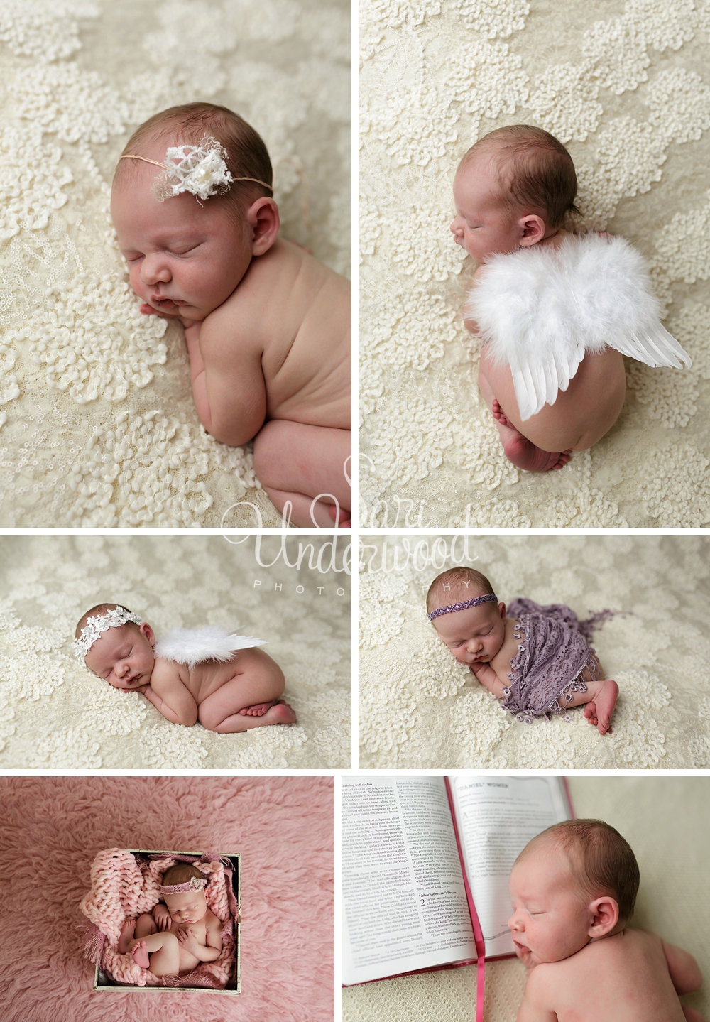 Orlando Newborn Baby Photography